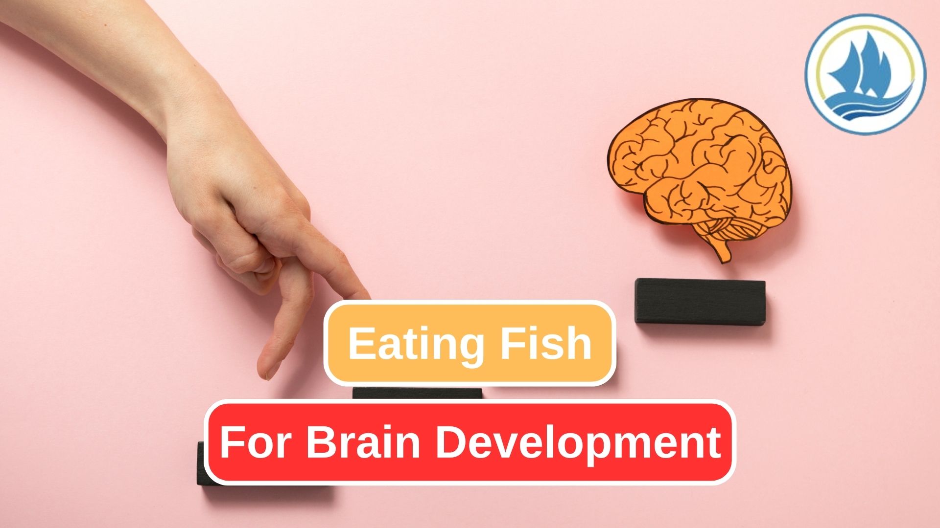 8 Benefits for Your Brain from Eating Fish 